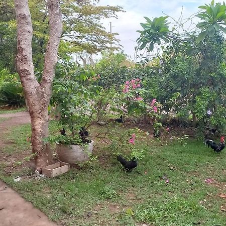 Chacara Pousada Sagui Cuiabá Extérieur photo